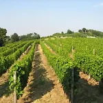 Cascina Serra * Cossano Belbo