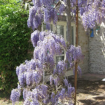 Feriegård Cascina Serra *
