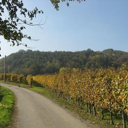 Cascina Serra Bauernhof *