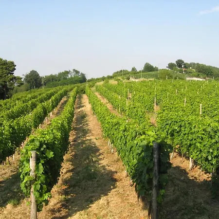 Cascina Serra * Коссано-Бельбо