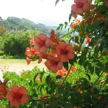 Cascina Serra * Коссано-Бельбо