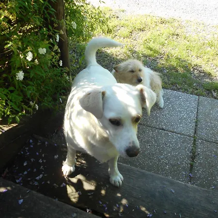 Cascina Serra Cossano Belbo