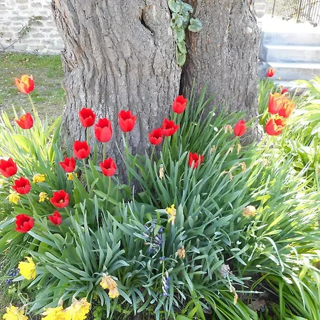Feriegård Cascina Serra Cossano Belbo
