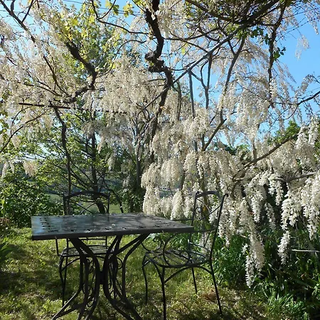 Cascina Serra Cossano Belbo