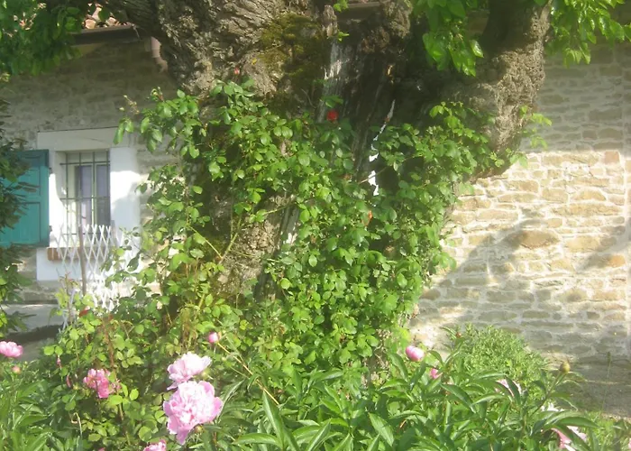 Farma Cascina Serra *