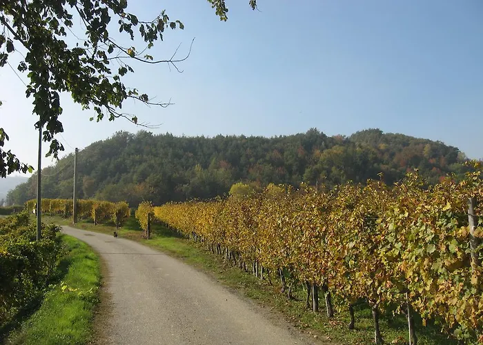 Cascina Serra ファームステイ *