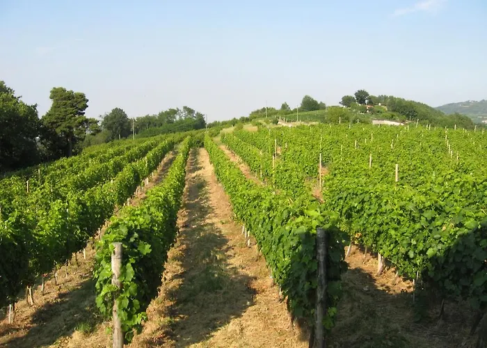 Cascina Serra * Cossano Belbo
