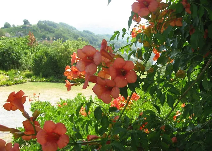 Cascina Serra * Cossano Belbo
