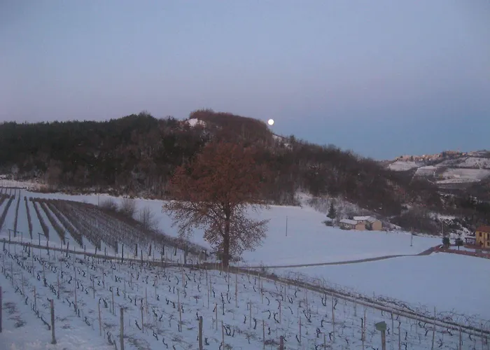 Cascina Serra Farma